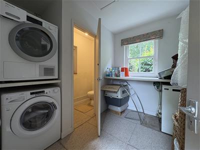 Picture 24